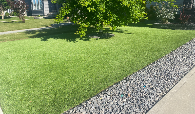 artificial turf yard